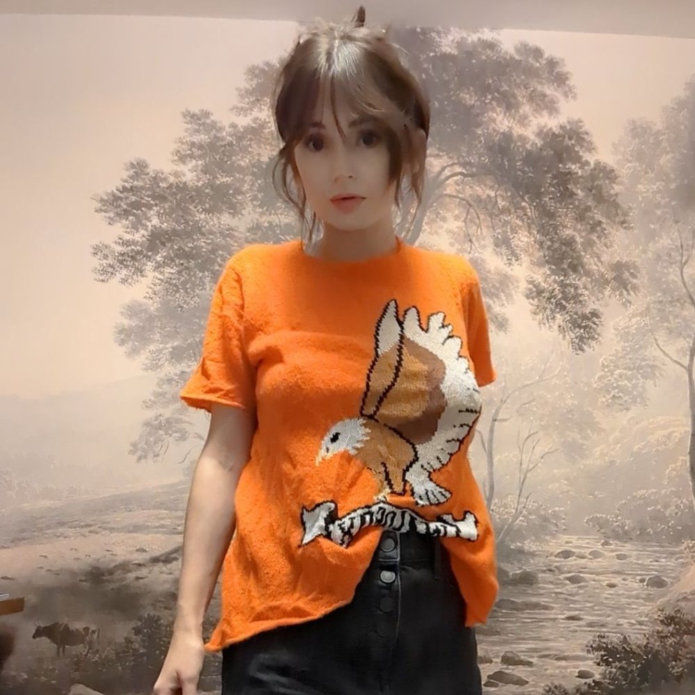 Rare Wildfox knit top